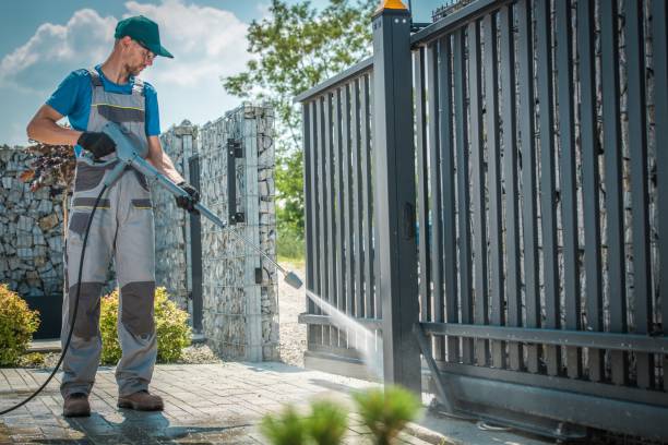 Best Rust Removal  in Desoto Lakes, FL